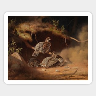 Hazel Grouse Wallowing In Sand by Ferdinand von Wright Magnet